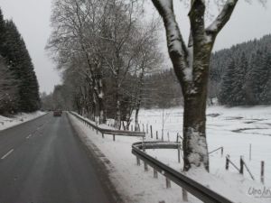 ua110122winterberg006.JPG